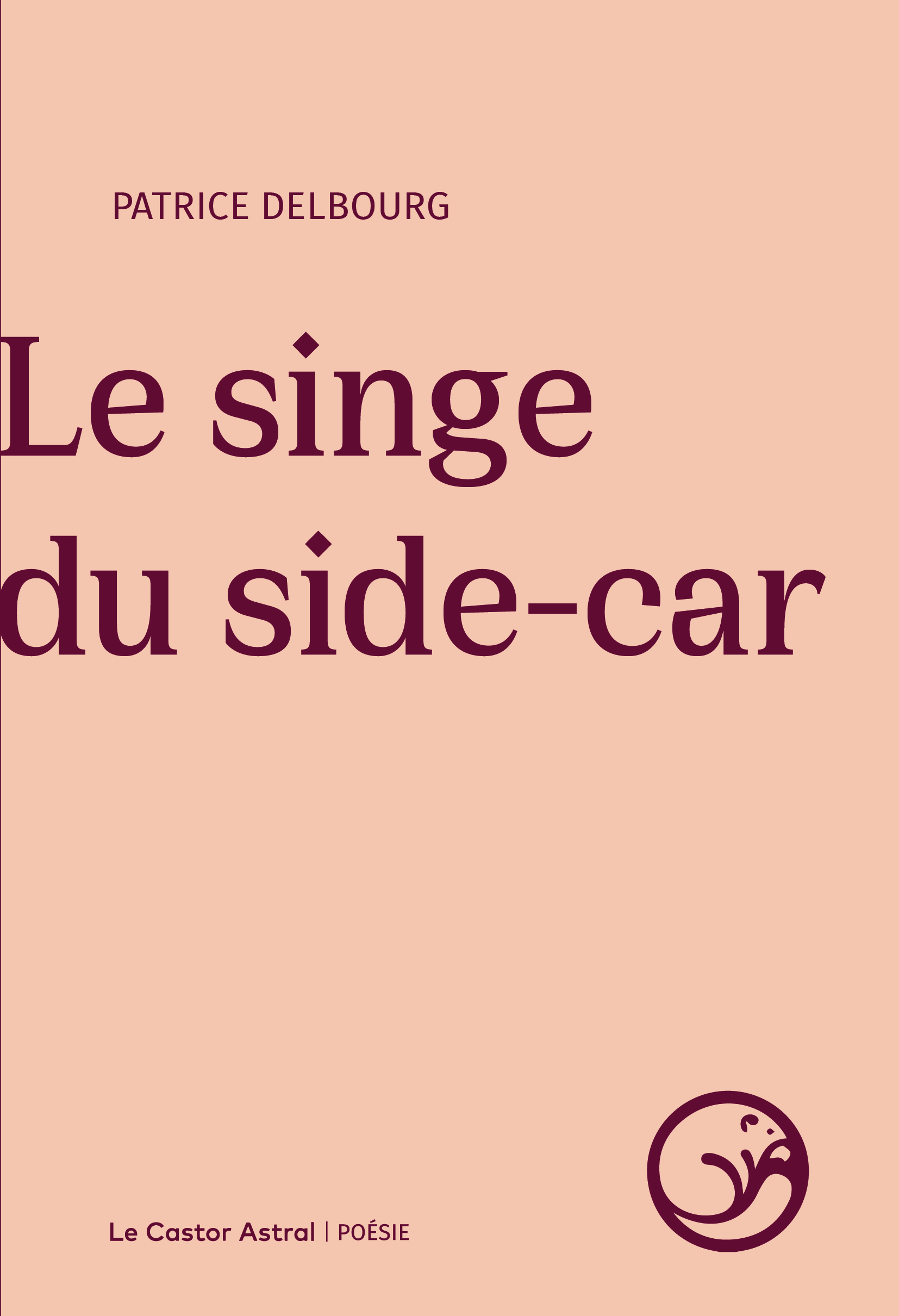 Le Singe du side-car 